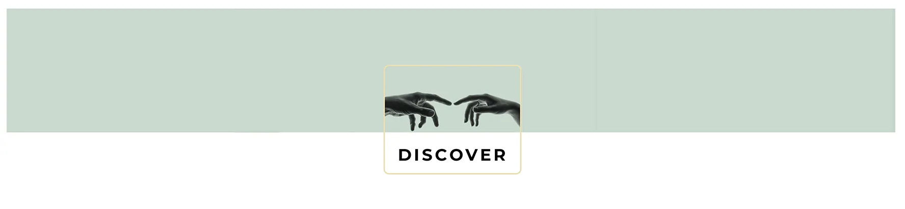 discover