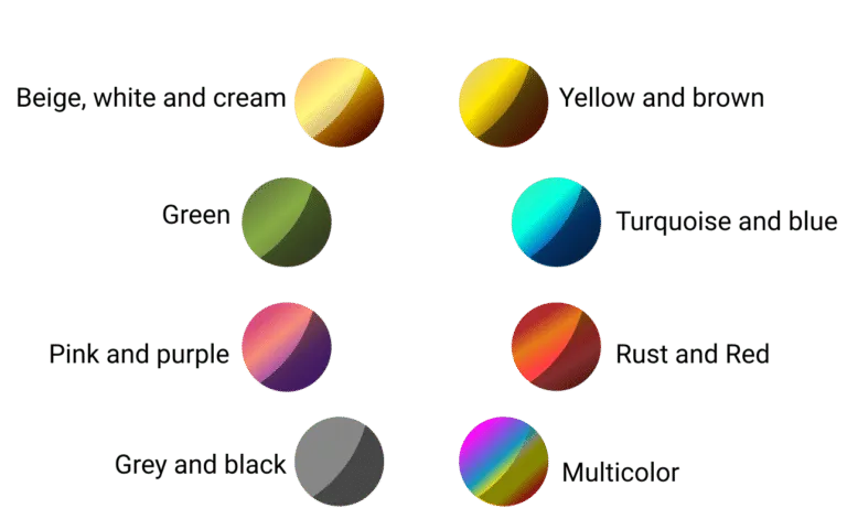 color palette